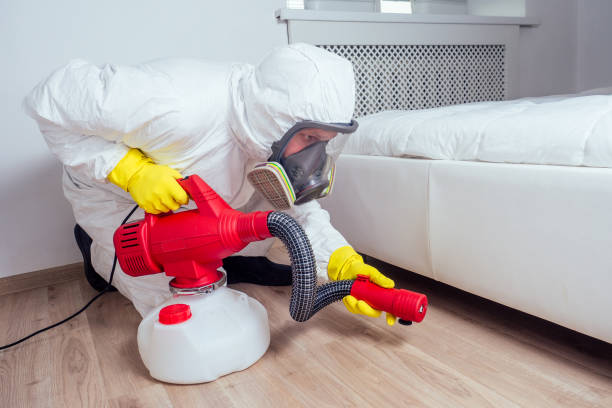 Best Real Estate Pest Inspections  in White Plains, NC